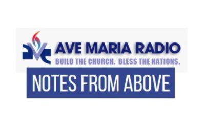 Dan talks Armenian Trilogy on Ave Maria Radio